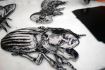 Bugs2