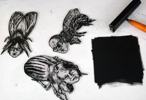 Bugs