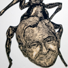 E. O. Wilson Ant