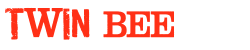 TwinBeeBanner
